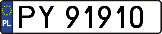 PY91910