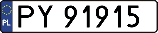 PY91915