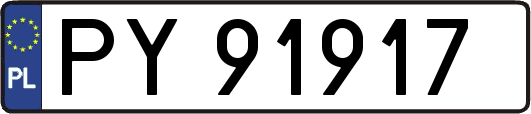 PY91917