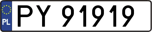 PY91919