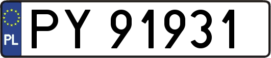 PY91931