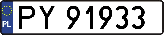 PY91933