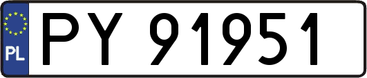 PY91951