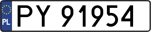 PY91954