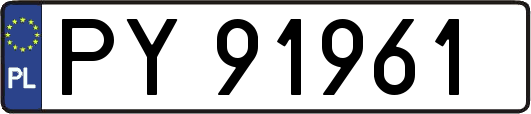 PY91961