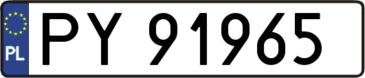 PY91965