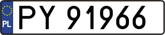 PY91966
