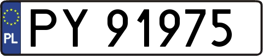 PY91975