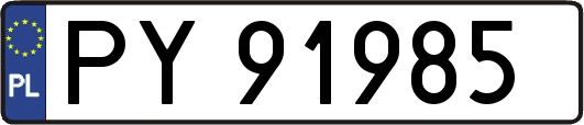 PY91985