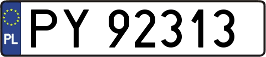 PY92313