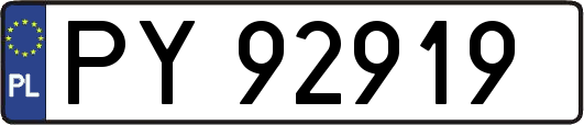 PY92919