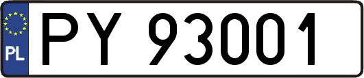 PY93001