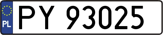 PY93025
