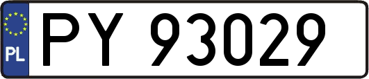 PY93029
