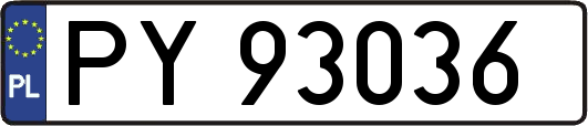 PY93036