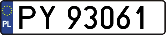 PY93061