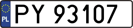 PY93107