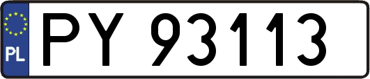 PY93113