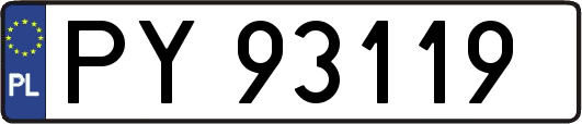 PY93119