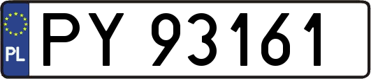PY93161