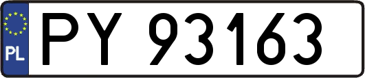 PY93163