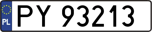 PY93213