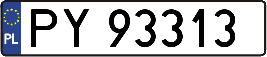 PY93313