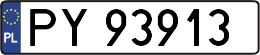 PY93913