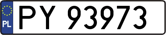 PY93973