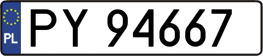 PY94667