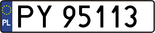 PY95113