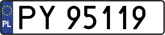 PY95119