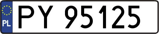 PY95125