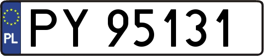 PY95131