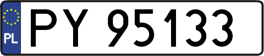 PY95133