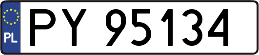 PY95134