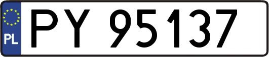 PY95137