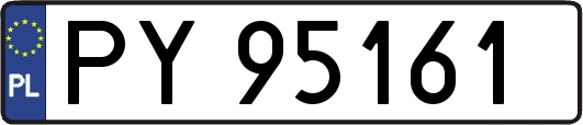PY95161