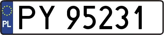 PY95231