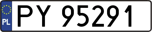 PY95291
