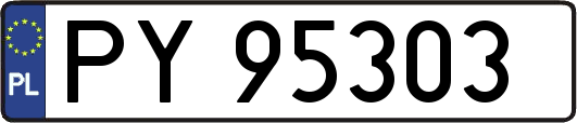 PY95303