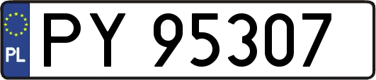 PY95307