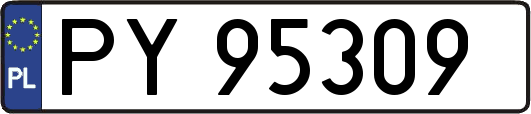 PY95309