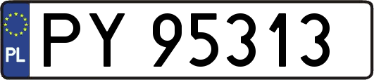 PY95313