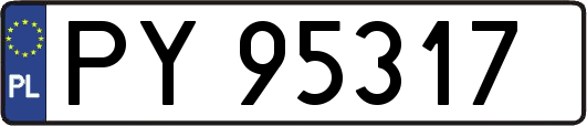 PY95317