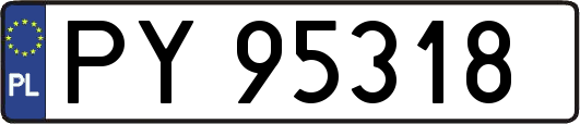 PY95318