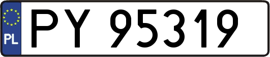 PY95319