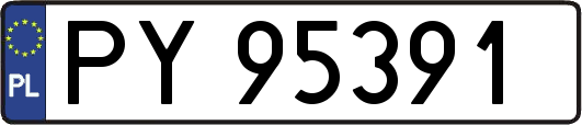 PY95391