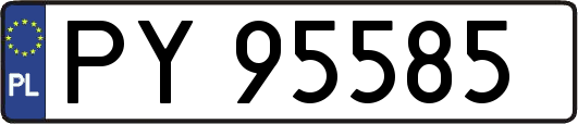 PY95585