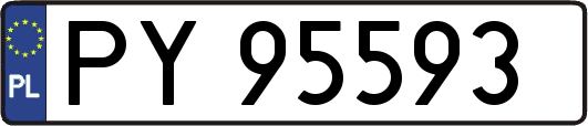 PY95593